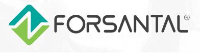 logo FORSANTAL